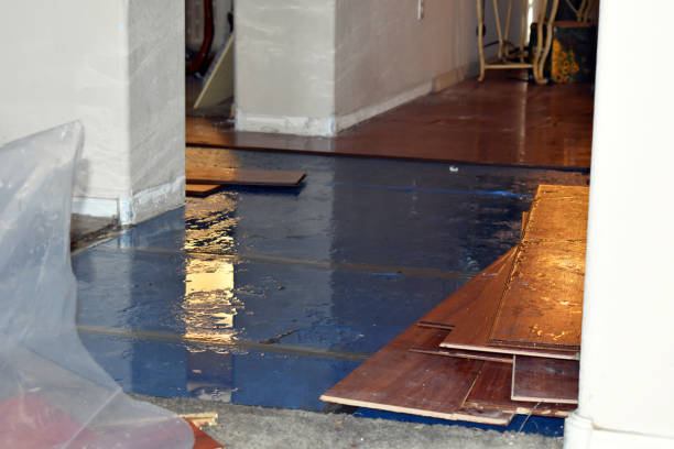 Professional Basement Flood Cleanup technician working in Downing, WI